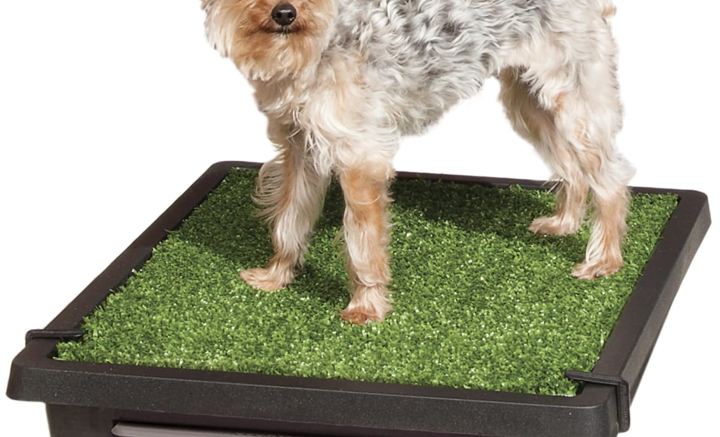 PetSafe Pet Loo portable dog potty for $50