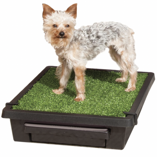 PetSafe Pet Loo portable dog potty for $50