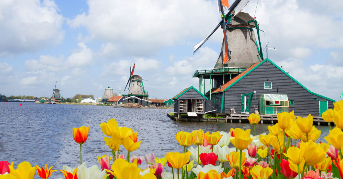 Save $750 on a Holland tulips 8-night river cruise