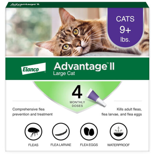 Advantage II large cat flea treatment and prevention for $28