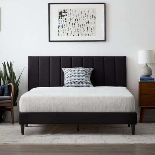 Lucid queen bedframe with vertical channeled headboard for $150