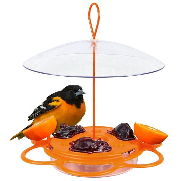 Nature’s Way OFP1 all-in-one Oriole buffet bird feeder for $9