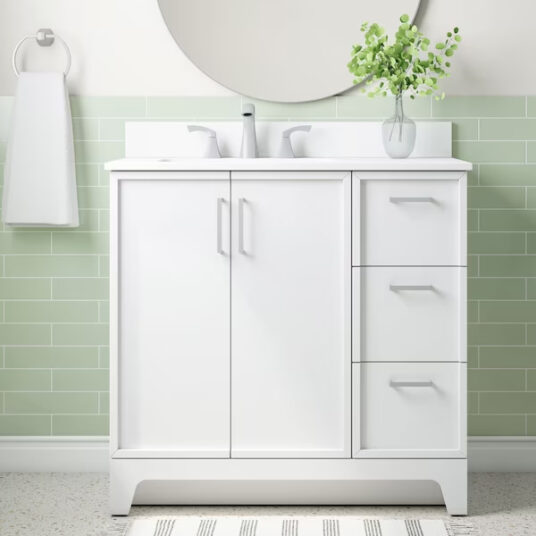 Style Selections Madix single sink bathroom vanity for $249