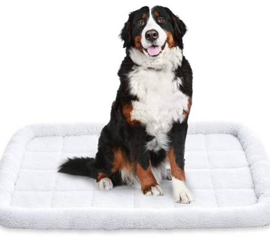 Amazon Basics padded sherpa pet bed for $12, free shipping