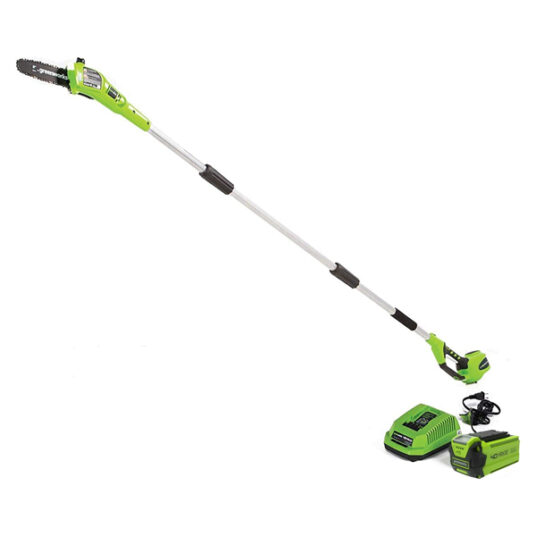 Greenworks Gen 1 40V 8-inch pole saw with battery and charger for $169