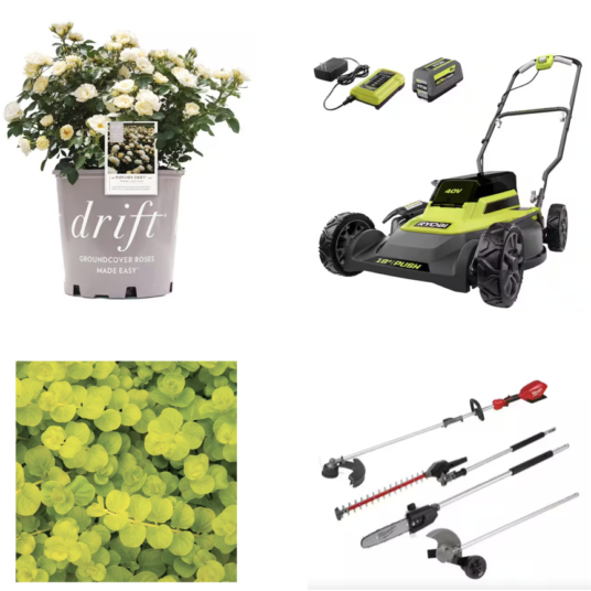 Today only: Take up to 30% off outdoor equipment & plants