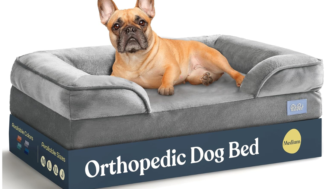 Pitpet orthopedic dog bed sofa for $22