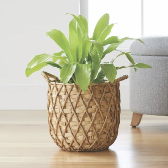 Better Homes & Gardens 11″ round hyacinth basket planter for $10