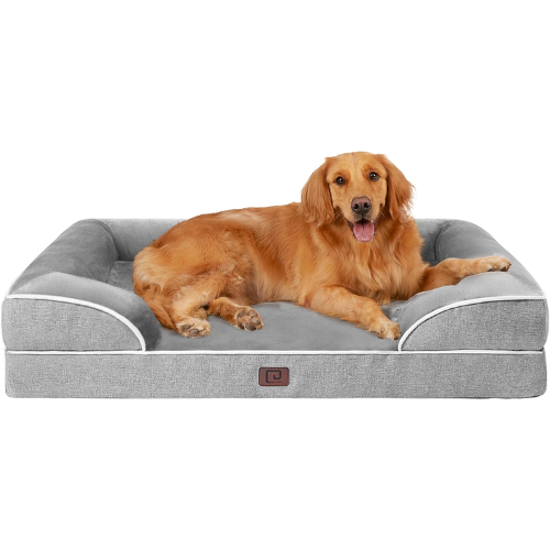 Orthopedic large dog bed for $40