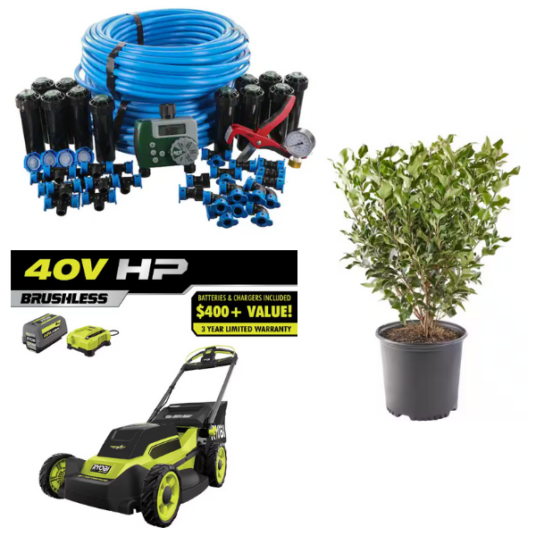 Today only: Up to 35% off live plants, outdoor power equipment & more