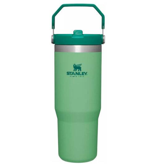 Stanley IceFlow 30-oz tumbler with flip straw for $26