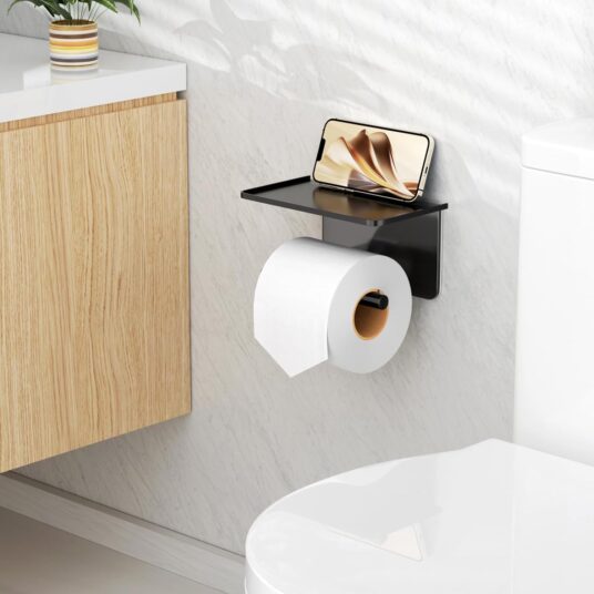 Toilet paper holder with shelf for $5