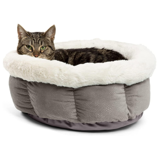 Best Friends by Sheri Cuddle Cup pet bed for $11